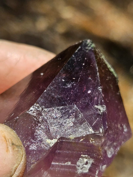 Wyloo Amethyst crystal . AM154