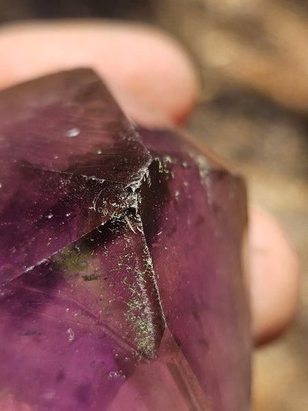 Wyloo Amethyst crystal . AM154