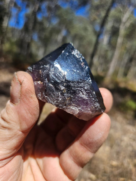 Wyloo Smoky Amethyst crystal . AM155