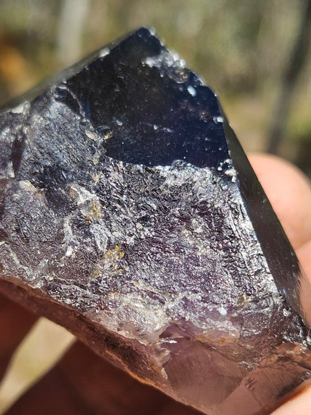 Wyloo Smoky Amethyst crystal . AM155