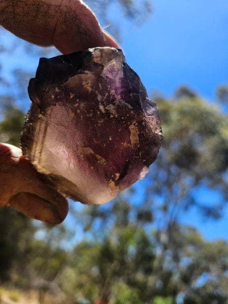 Wyloo Smoky Amethyst crystal . AM155