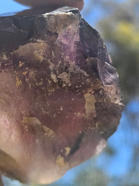 Wyloo Smoky Amethyst crystal . AM155