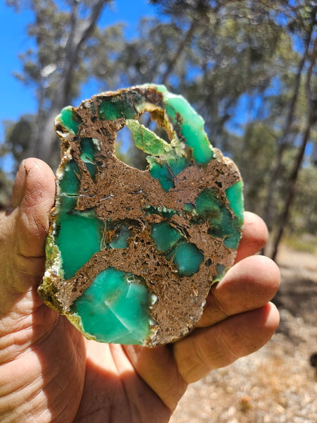 Polished  Chrysoprase slab CH494