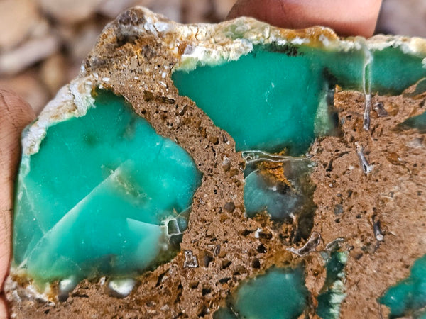 Polished  Chrysoprase slab CH494