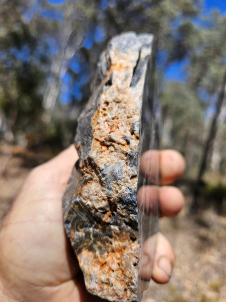 Polished Wyloo Agate  WA152