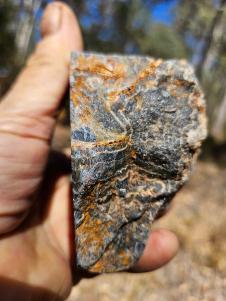 Polished Wyloo Agate  WA152