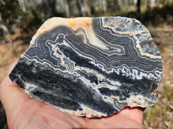 Polished Wyloo Agate  WA152