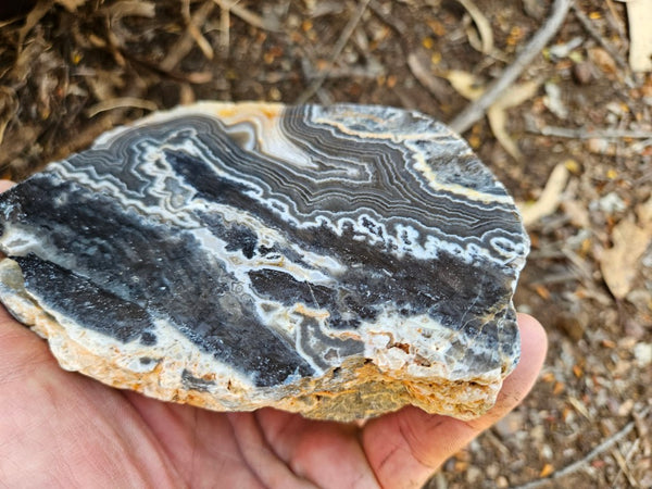 Polished Wyloo Agate  WA152