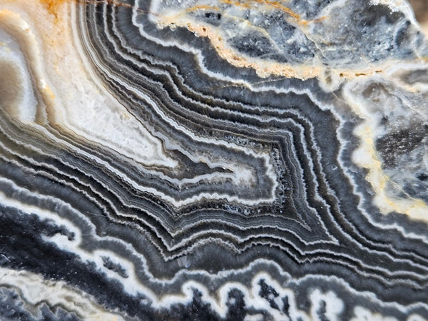 Polished Wyloo Agate  WA152