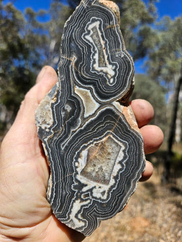 Polished Wyloo Agate slab WA154