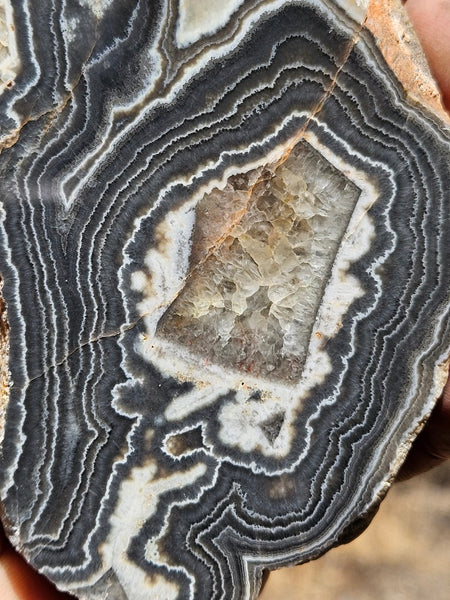 Polished Wyloo Agate slab WA154