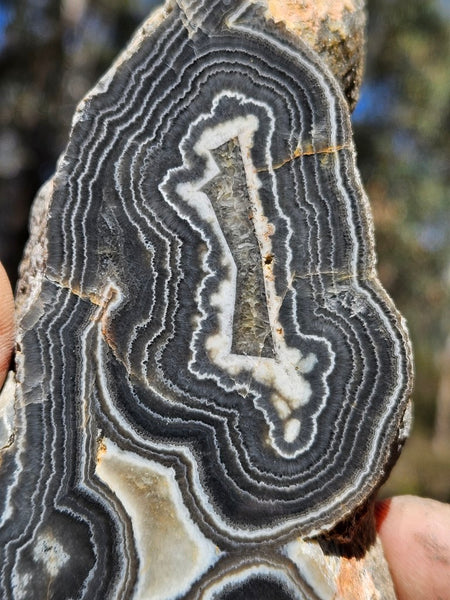 Polished Wyloo Agate slab WA154