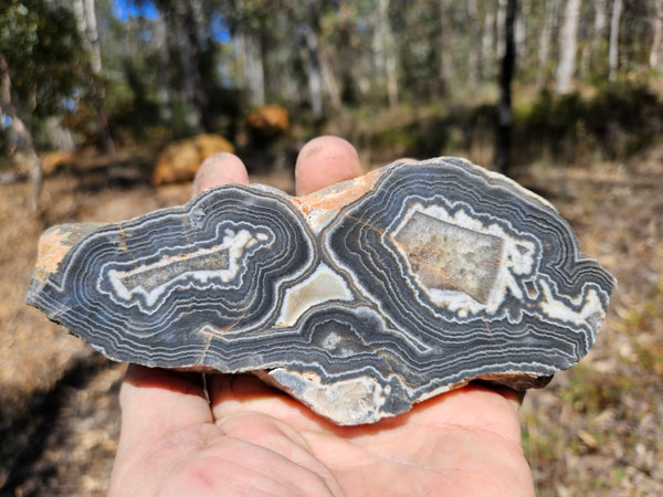 Polished Wyloo Agate slab WA154