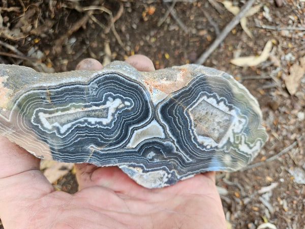 Polished Wyloo Agate slab WA154
