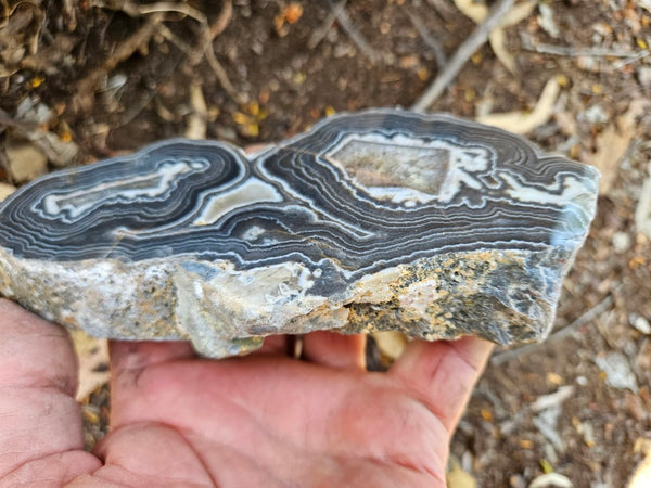 Polished Wyloo Agate slab WA154