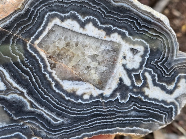 Polished Wyloo Agate slab WA154