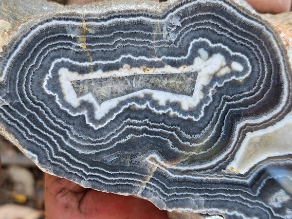 Polished Wyloo Agate slab WA154