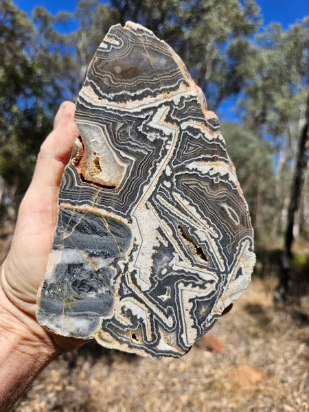 Polished Wyloo Agate  WA153