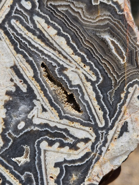 Polished Wyloo Agate  WA153