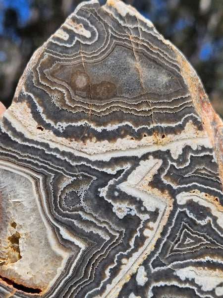 Polished Wyloo Agate  WA153