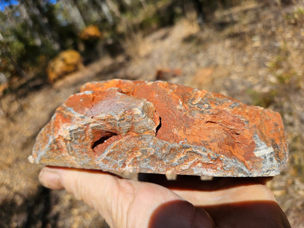 Polished Wyloo Agate  WA153