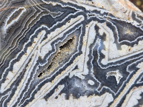 Polished Wyloo Agate  WA153