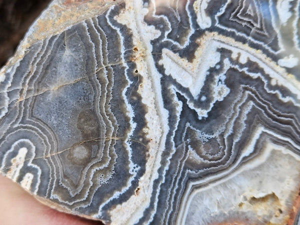 Polished Wyloo Agate  WA153