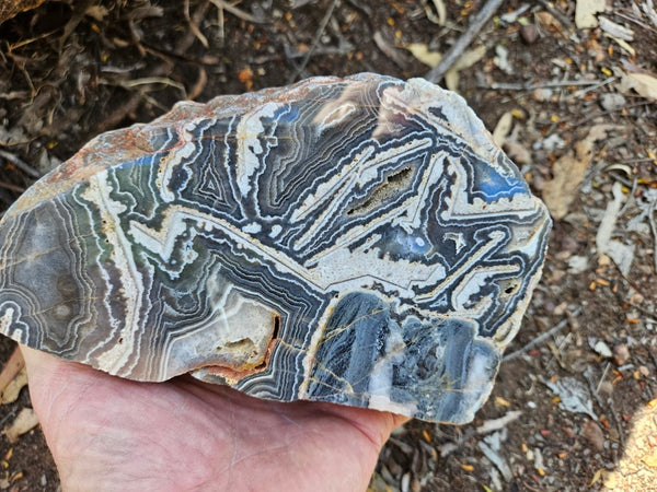 Polished Wyloo Agate  WA153