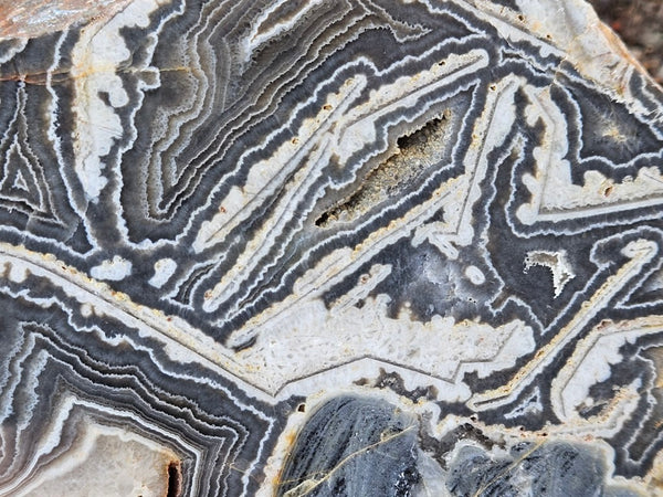 Polished Wyloo Agate  WA153