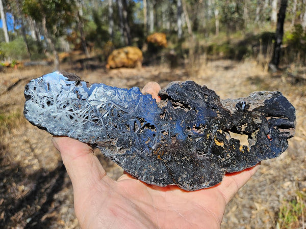 Reticulated Hematite  HEM147