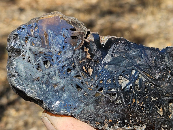 Reticulated Hematite  HEM147