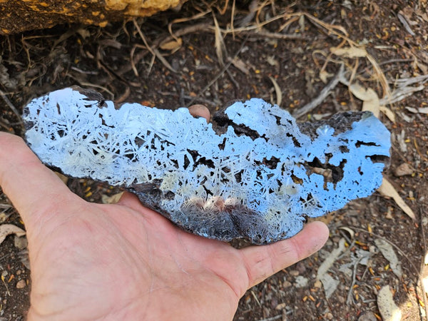 Reticulated Hematite  HEM147