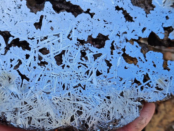 Reticulated Hematite  HEM147