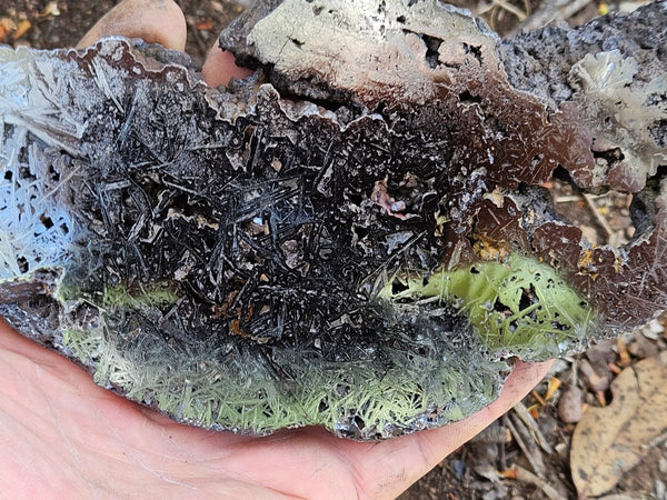 Reticulated Hematite  HEM147