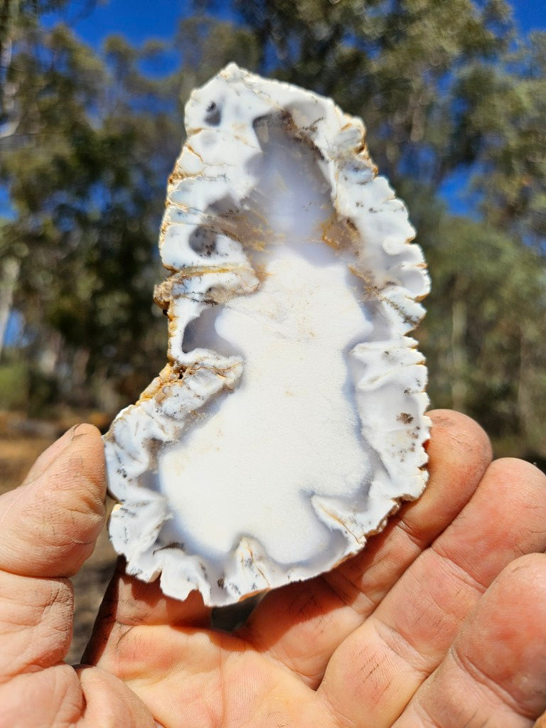 Polished Dendritic Opal slab DO236