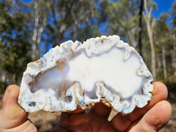Polished Dendritic Opal slab DO236