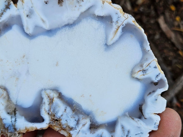 Polished Dendritic Opal slab DO236