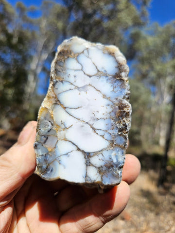 Polished Dendritic Opal DO235