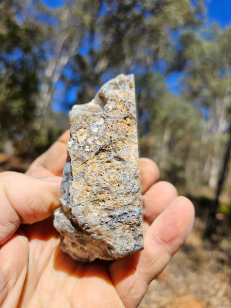 Polished Dendritic Opal DO235