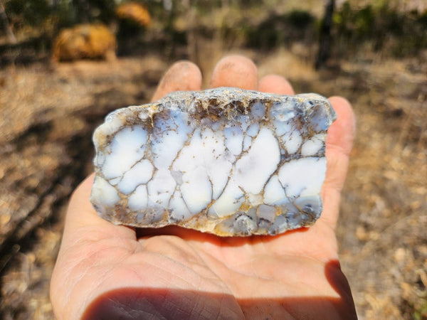 Polished Dendritic Opal DO235