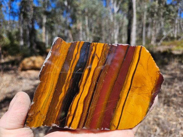 Polished Desert Sunset slab DS207