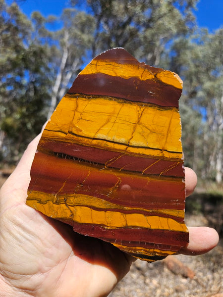 Polished Desert Sunset DS208