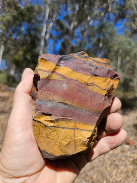 Polished Desert Sunset DS208