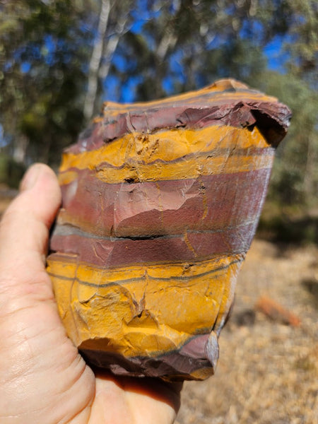 Polished Desert Sunset DS208