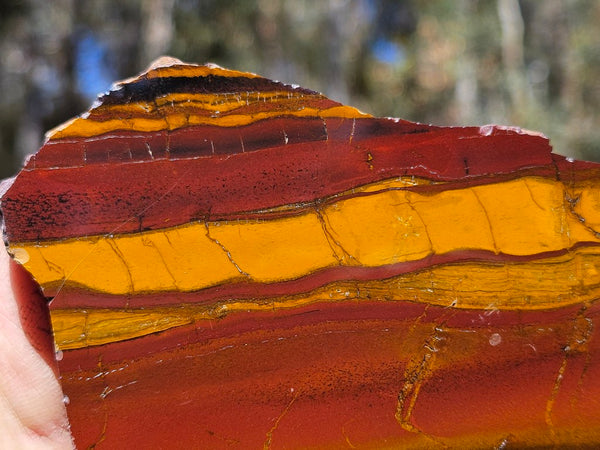 Polished Desert Sunset DS208