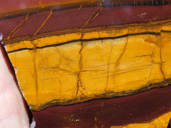 Polished Desert Sunset DS208