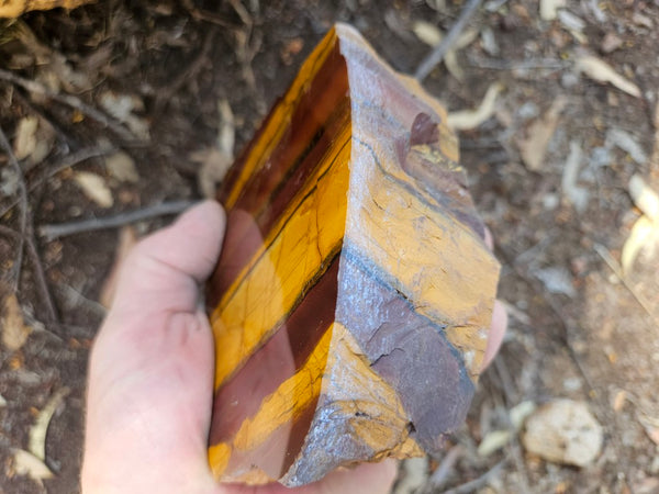 Polished Desert Sunset DS208