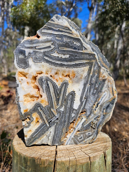 Polished Wyloo Agate slab WA155