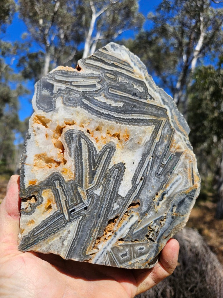 Polished Wyloo Agate slab WA155