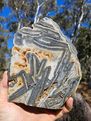 Polished Wyloo Agate slab WA155